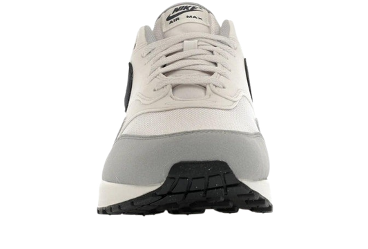 Nike Air Max 1 Platium Tint