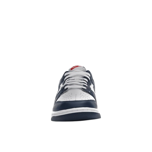 Nike Dunk Low Valerian Blue