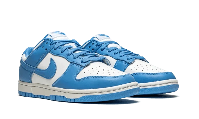 Nike Dunk Low UNC (2021)