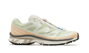 Salomon XT-6 Aloe Wash Feather Grey