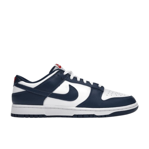 Nike Dunk Low Valerian Blue