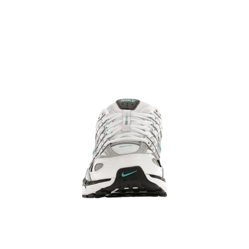 Nike P-6000 Dusty Cactus