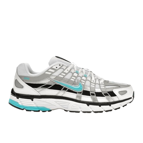 Nike P-6000 Dusty Cactus