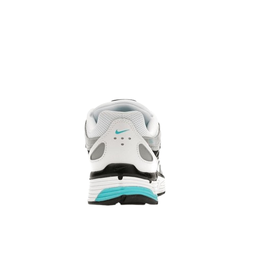 Nike P-6000 Dusty Cactus